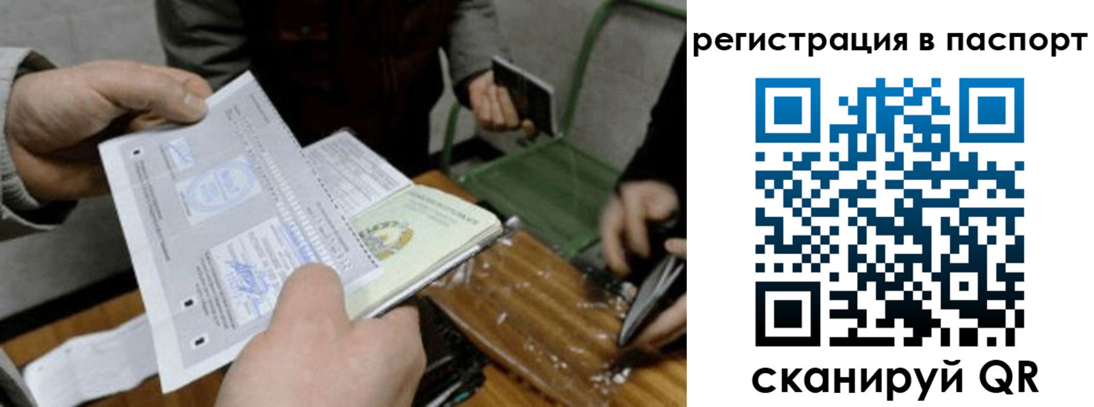 прописка иностранных граждан в Невеле